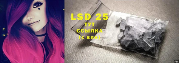 твердый Богданович