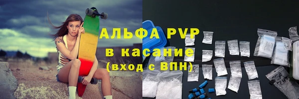 твердый Богданович