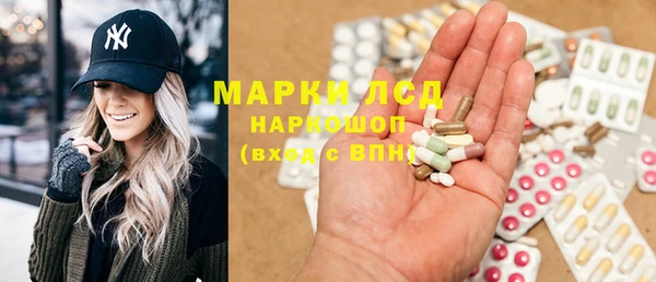 spice Богородицк