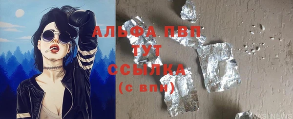 spice Богородицк
